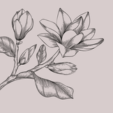 Seren & Intensivpflege